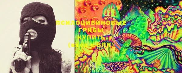 синтетический гашиш Алексин