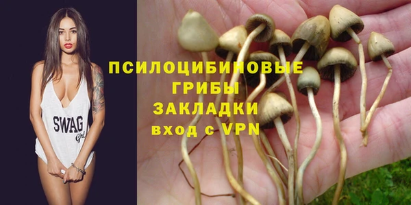 сатива Переславль-Залесский