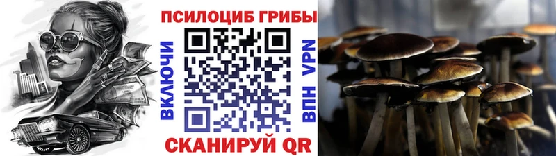 shop наркотические препараты  Данков  Псилоцибиновые грибы Cubensis 